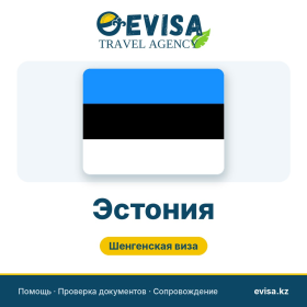 Виза в Эстонию — Evisa Travel